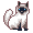 Image Name